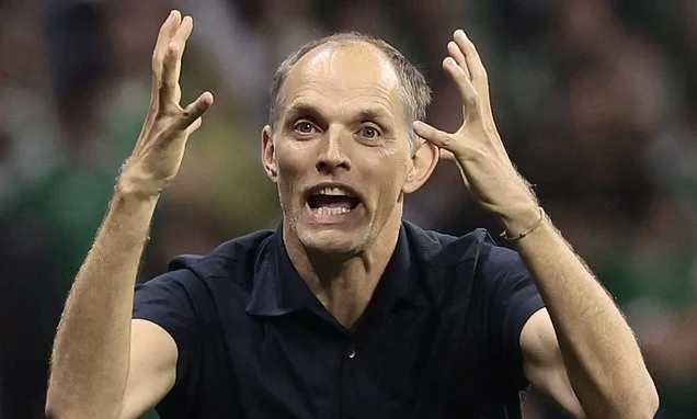 Thomas Tuchel hits out at 'erratic and unreliable' World Cup referees - and fears 'questionable' VAR decisions could cost England at any moment after gutsy 3-2 win over Mexico